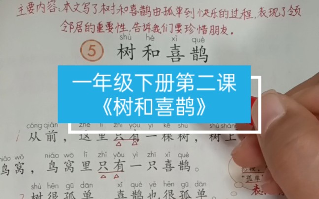 重点:1、积累AABB式的词,掌握“只、觉、乐”三个多音字.2二类字熟练认读,特别注意前鼻音、后鼻音、平舌音、翘舌音的字.3一类字掌握音序、拼...