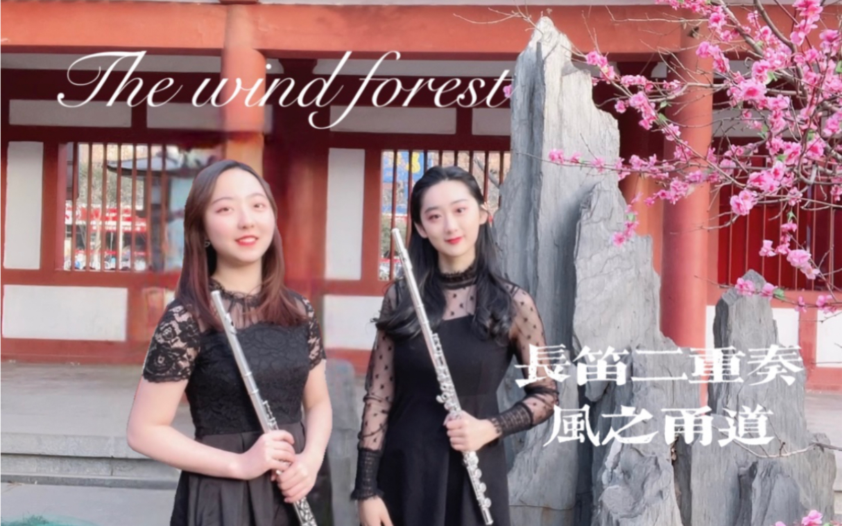 [图]【长笛二重奏】风之甬道｜The wind forest ｜《龙猫》插曲