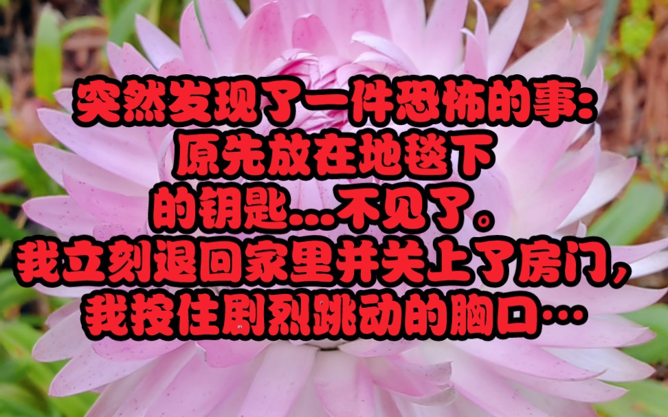 “小姐,你刚刚不是说,这不是你家的钥匙吗?”我的声音卡在喉咙所以他刚刚…是在套我的话?还未等我想好如何答复,他又继续问“小姐,你家里真的有...