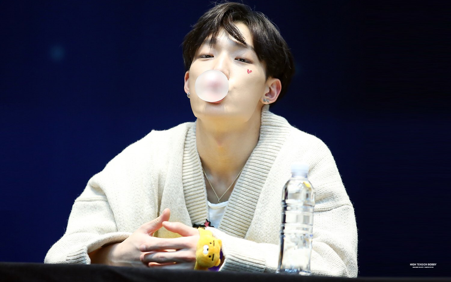 bobby 金知元love and fall