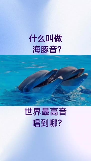 什么叫做海豚音?世界上最高音唱到哪?哔哩哔哩bilibili