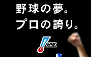 Pro野球番组特辑 Pro野球熱血情報 16年5月至12月 哔哩哔哩 Bilibili