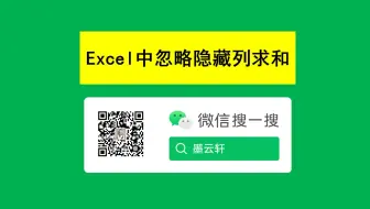 Excel中如何忽略隐藏列求和？