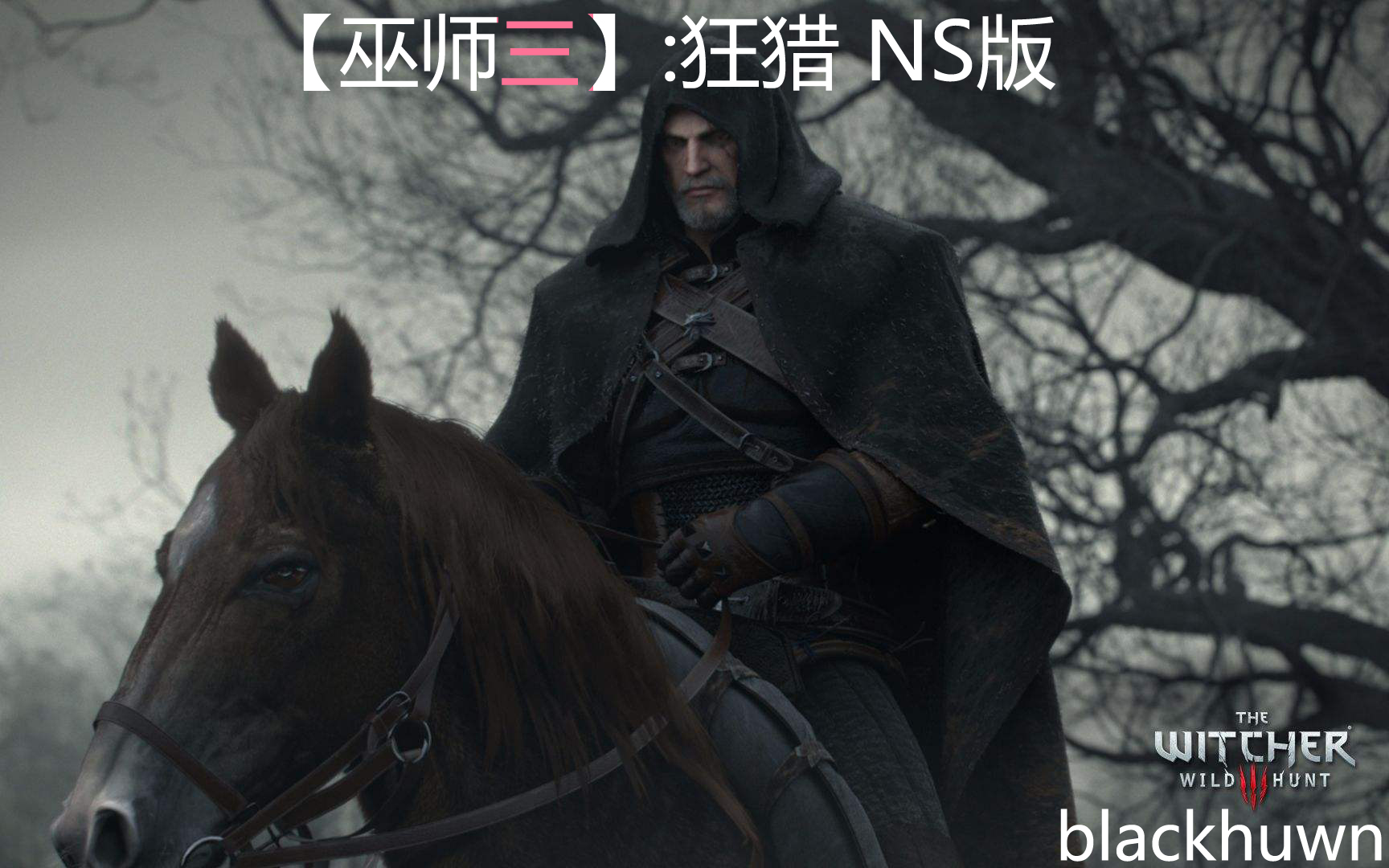 [图]【巫师3：狂猎】NS版（WITCHER3:WILD HUNTER）全流程纪录 不跳对话 一周目