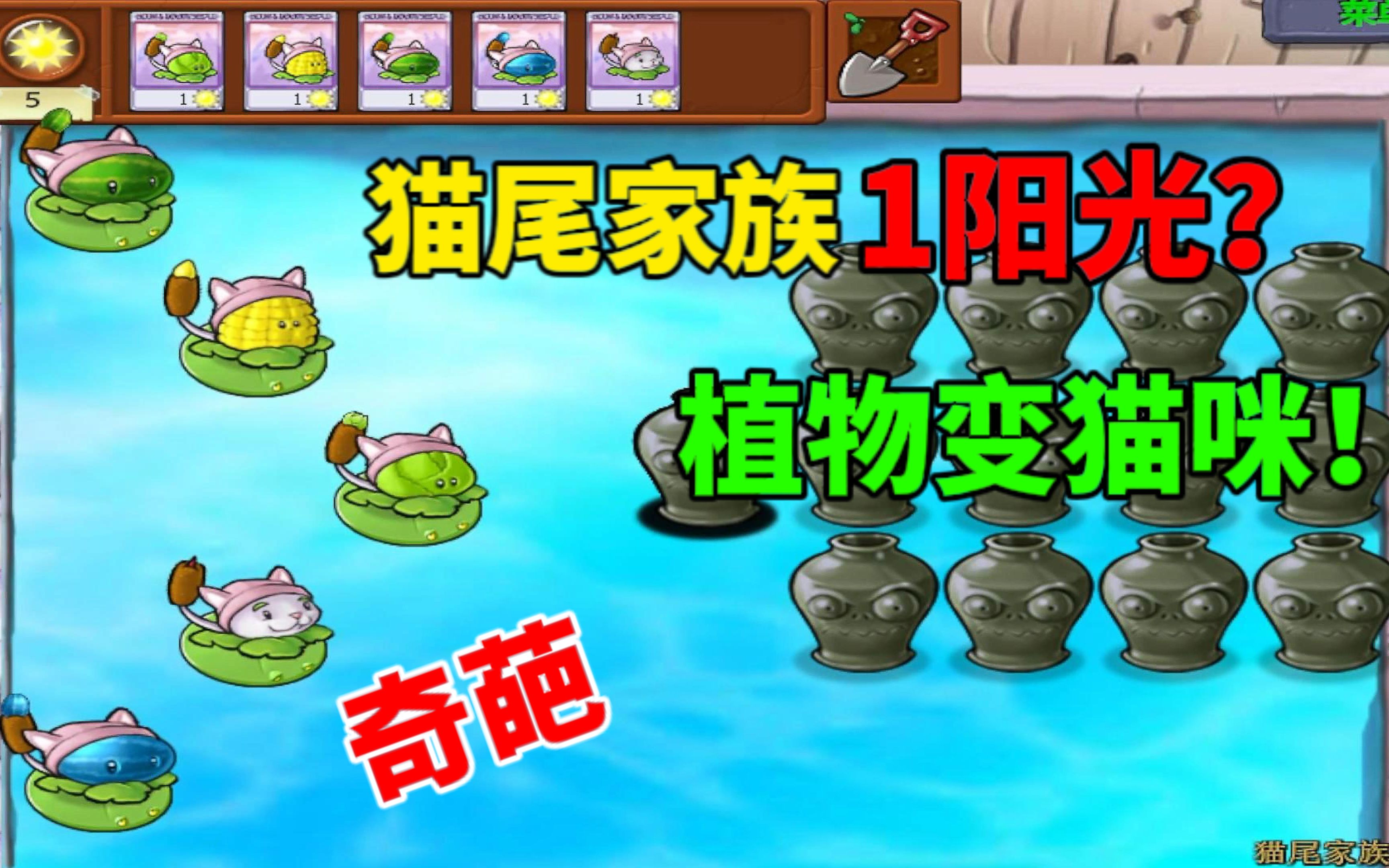 植物大战僵尸:猫尾家族只要1阳光!投手植物全变猫咪,真奇葩!