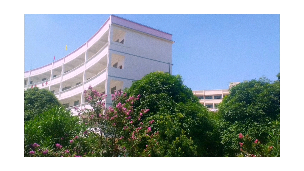 博白县实验中学__哔哩哔哩_bilibili