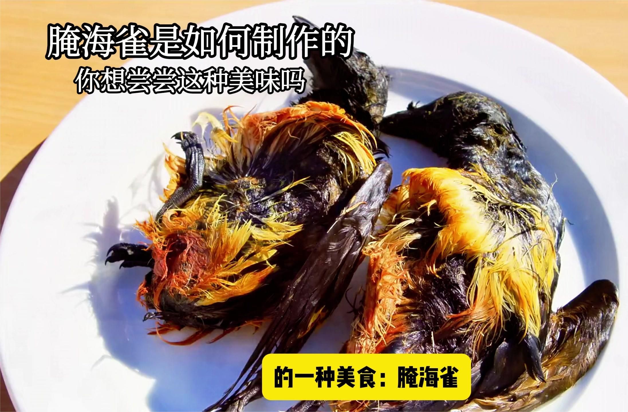 因纽特人研发出的一种美食:腌海雀