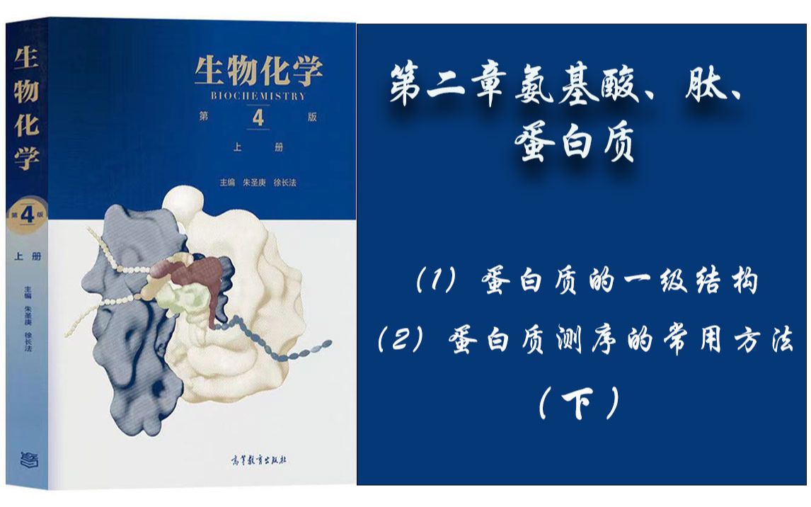 17.生物化学  第二章 (1)蛋白质的一级结构;(2)蛋白质测序的一些常用方法. 下哔哩哔哩bilibili