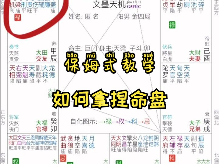 如何拿捏命盘?紫微斗数保姆式教学哔哩哔哩bilibili