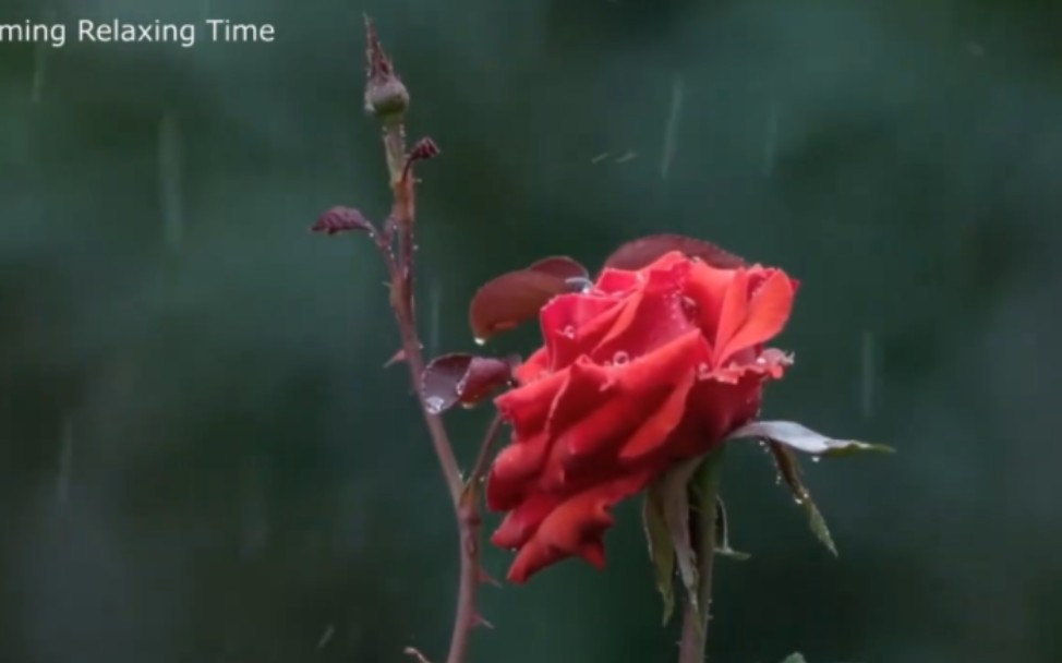 [图]《下雨的时候》Sometimes When It Rains 唯美音乐欣赏 经典乐曲 极品音乐