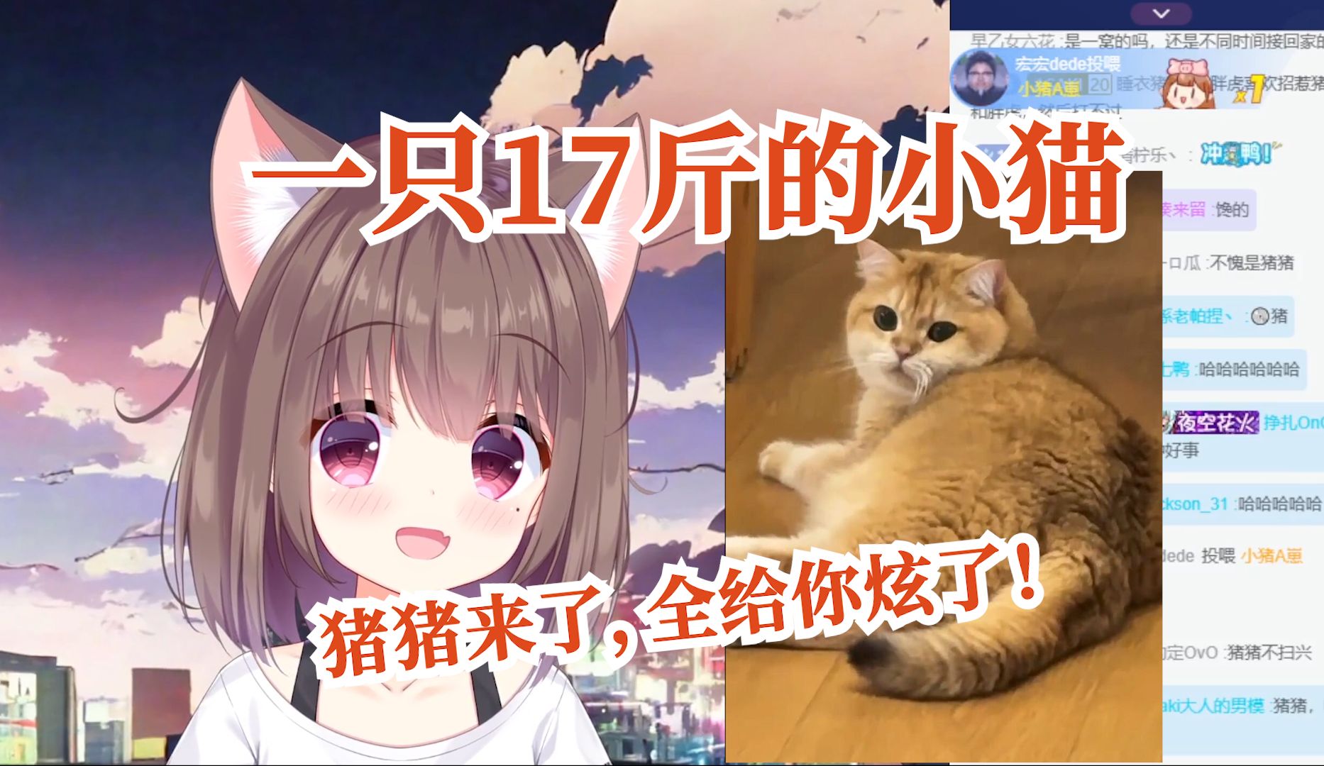 【asaki大人】猪猪:猪师傅,胖虎,汤圆,你们不吃,我可