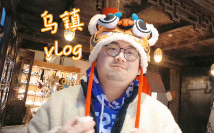 vlog|从上海出发到乌镇旅行 “当梦被埋在江南烟雨中”哔哩哔哩bilibili