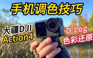 Download Video: 不套用LUT，如何用手机调色还原色彩？大疆DJI OSMO Action4调色技巧分享