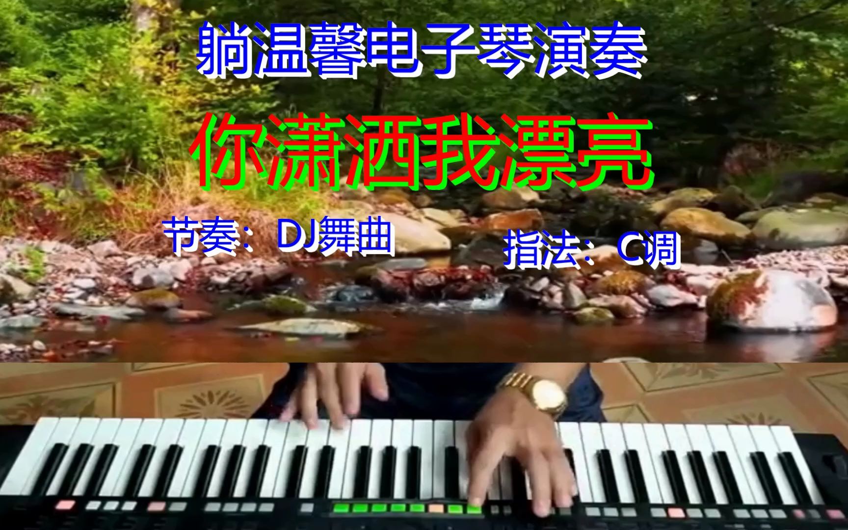 [图]电子琴 经典回顾《你潇洒我漂亮》DJ舞曲版