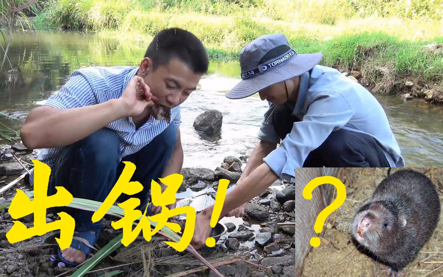 释静摩阿释密达