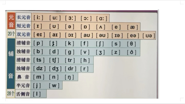48个国际音标的正确发音哔哩哔哩bilibili