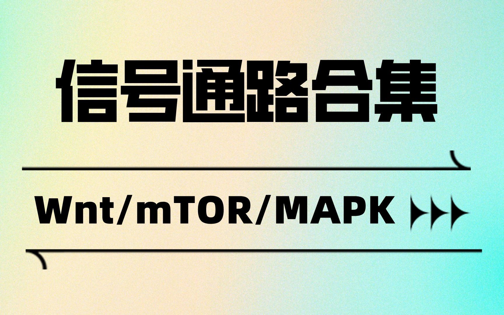 细胞信号通路合集: Wnt, mTOR, MAPK, Hippo, JAK/STAT, RAS....哔哩哔哩bilibili