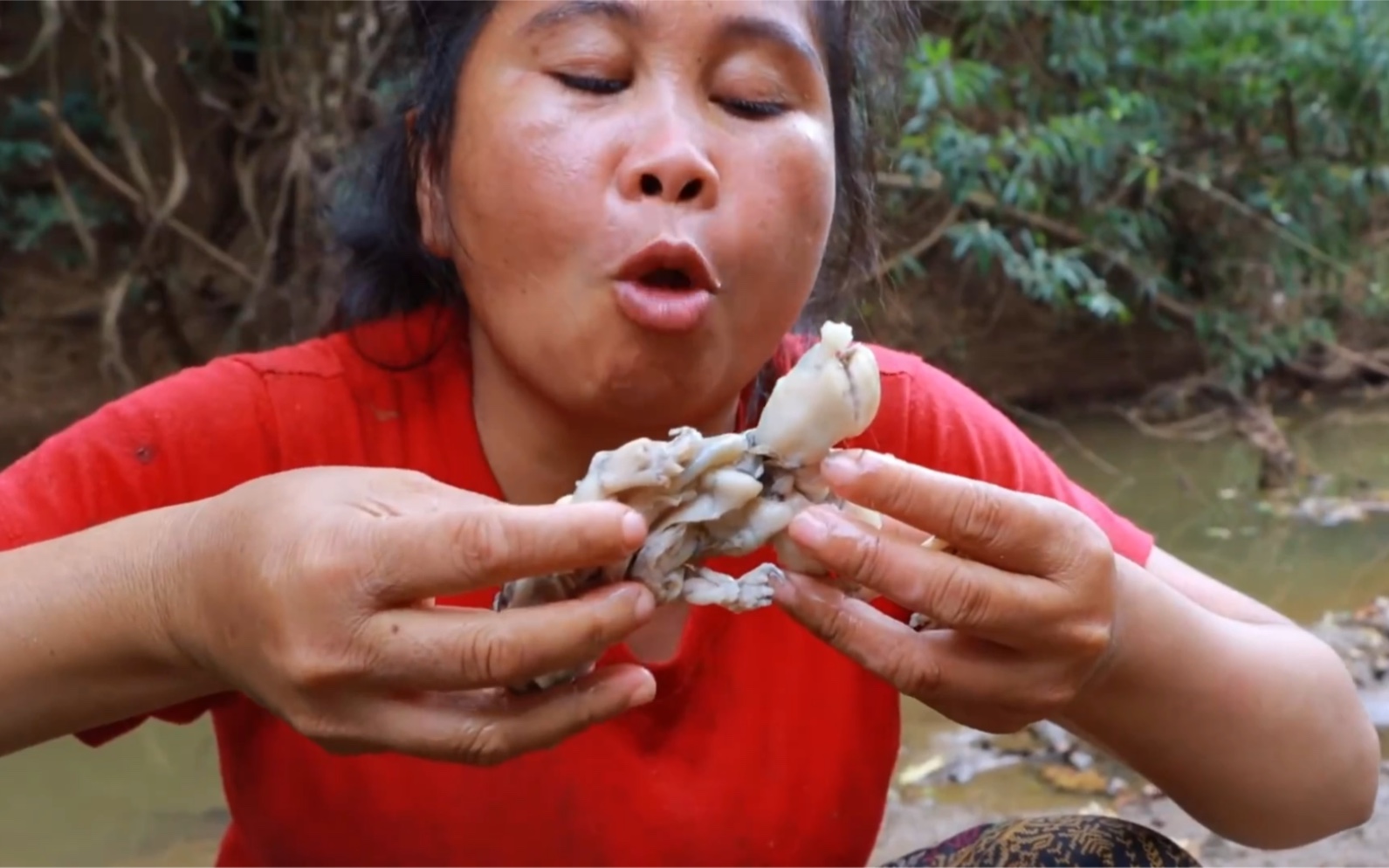 荒野美食:胖大姑在野外摘了许多野柿子吃,味道有点涩,难以下咽