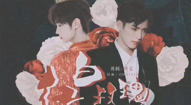 【王皓轩×宋继扬】【气宇轩扬】红白玫瑰