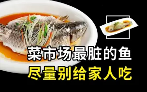 Tải video: 菜市场公认最脏的鱼，千万别给家人吃