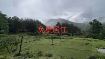 Download Video: 给网友找的免费居住地当，视野开阔，鸟语花香，竹林环抱！