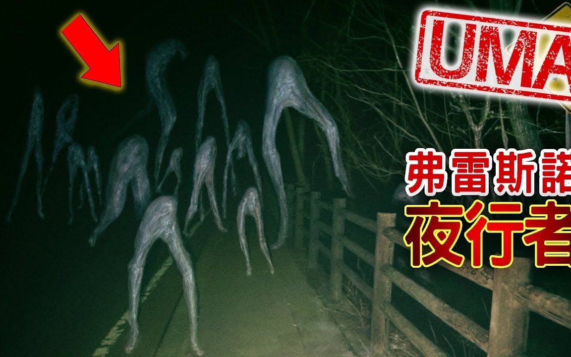 [图]【UMA档案】弗雷斯诺夜行者-美国加州出现的诡异生物，恶作剧或是外星人降临- -未确认生物-超自然-古文明-外星人-Fresno NighNightCrawle