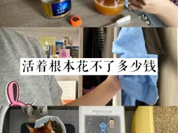 下载视频: 00后极简｜我发现人活着根本花不了多少钱