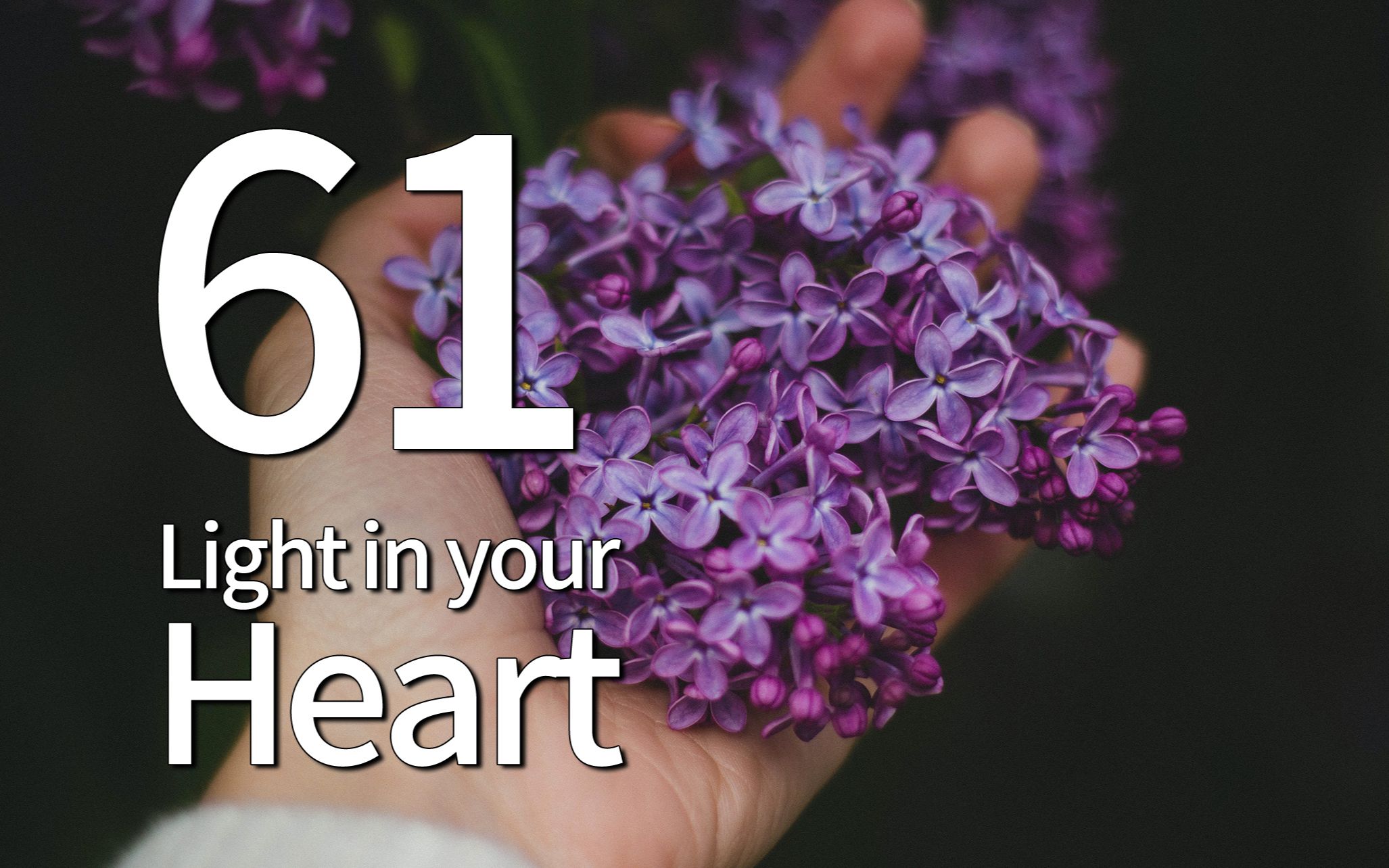 [图]Light in your heart 61