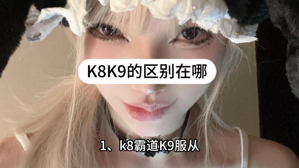 K8K9的区别在哪?哔哩哔哩bilibili