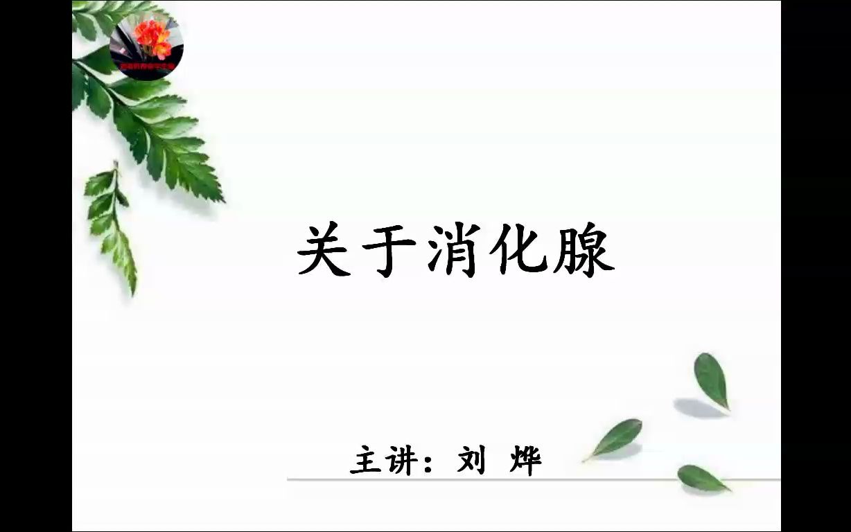 关于消化腺哔哩哔哩bilibili