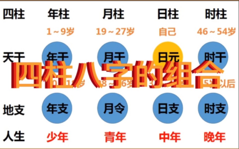 日柱八字的组合哔哩哔哩bilibili