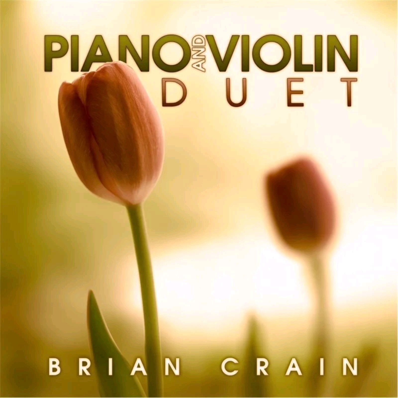 [图]Brian Crain《Wind - Solo Piano》2025-2026年音乐 2024-2-22 星期四 15:49