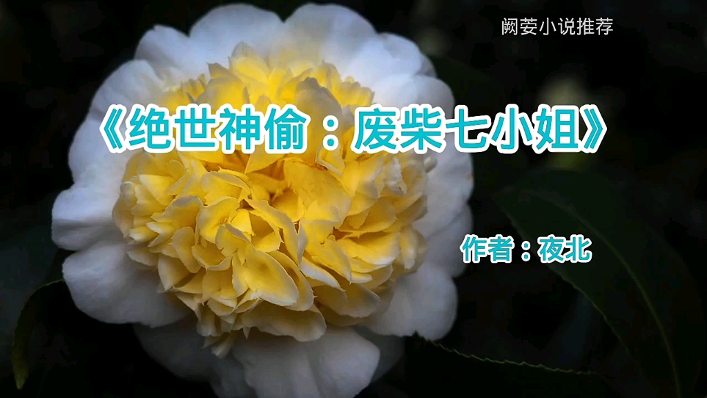 [图]老书迷小说推荐《绝世神偷：废柴七小姐》作者：夜北，穿越，修真，奇幻魔幻。