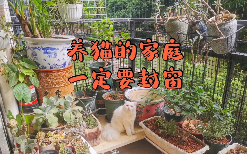 [图]搬新家啦！养猫家庭第一重要的事就是封阳台，猫咪安全啦，诗和远方有有了