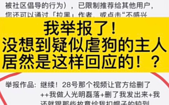 【抖音600w粉丝网红疑似虐狗】我举报了!没想到主人居然是这样回应的!?(完整版)哔哩哔哩bilibili