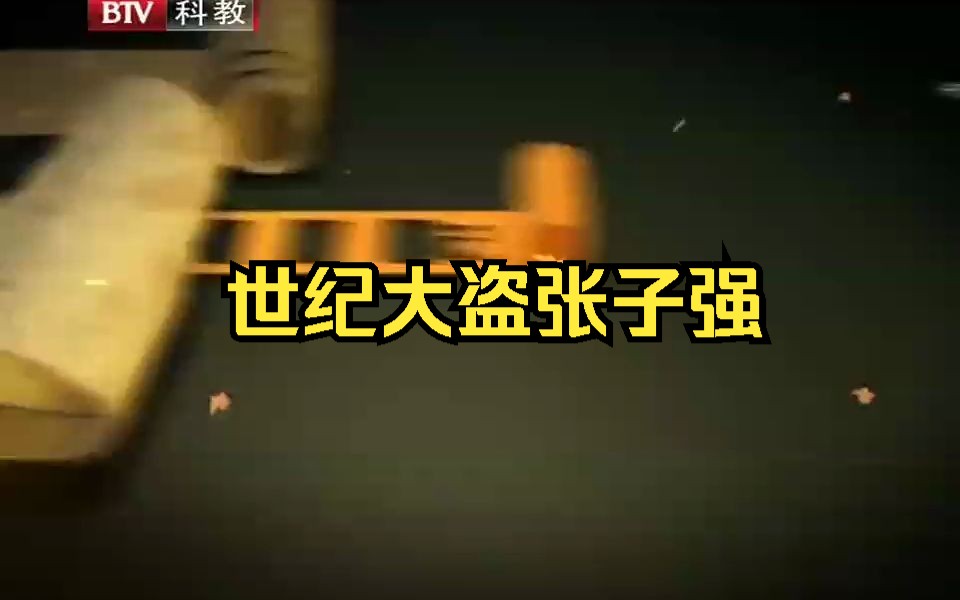 案件：世纪大盗——张子强（上下）