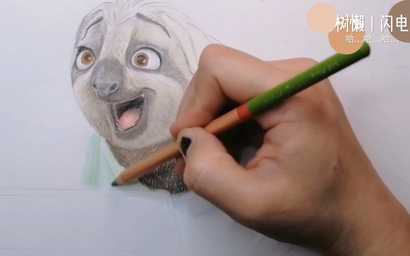 彩铅画疯狂动物城之73flash树懒73