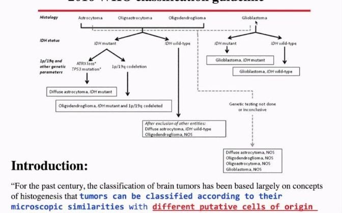 [图]基于分子分型的胶质瘤诊断和治疗靶点的识别