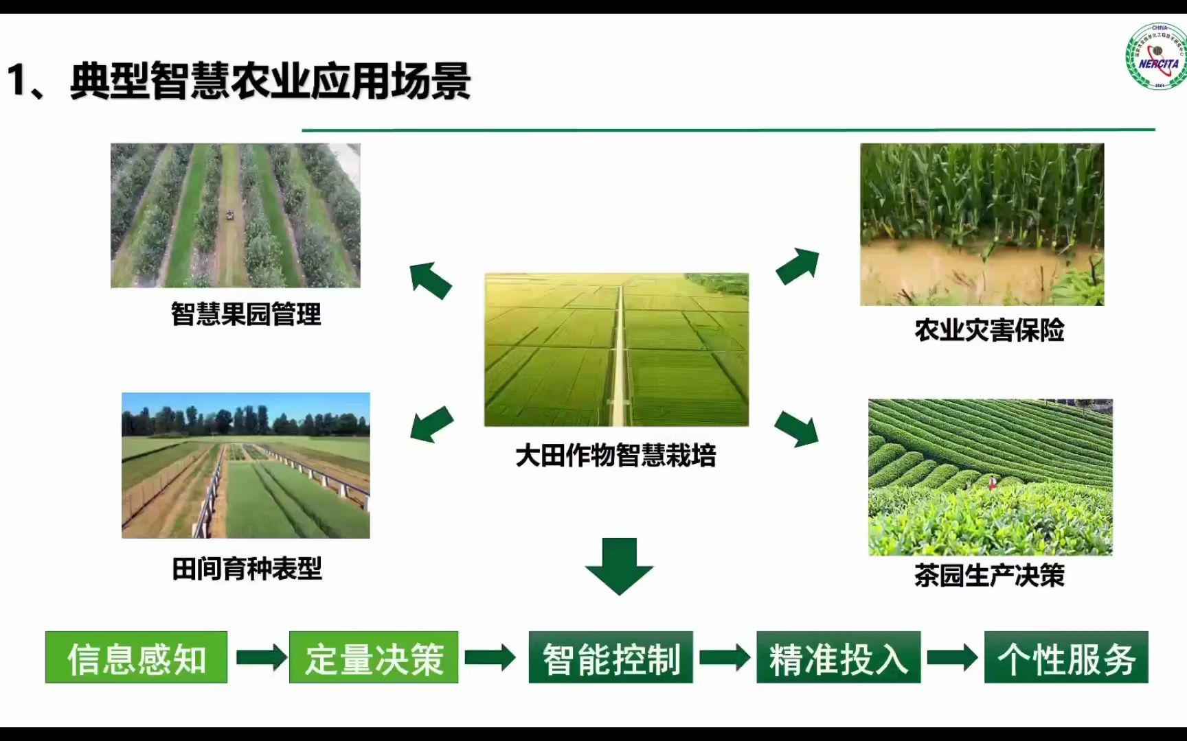 北京市农林科学院 杨浩副研究员 三维辐射传输模型在智慧农业研究中的应用哔哩哔哩bilibili