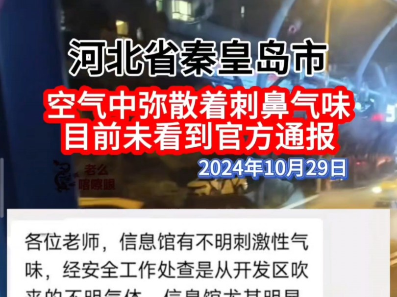 河北省秦皇岛市,空气中弥散着刺鼻气味.目前未看到官方通报.2024年10月29日#社会百态哔哩哔哩bilibili