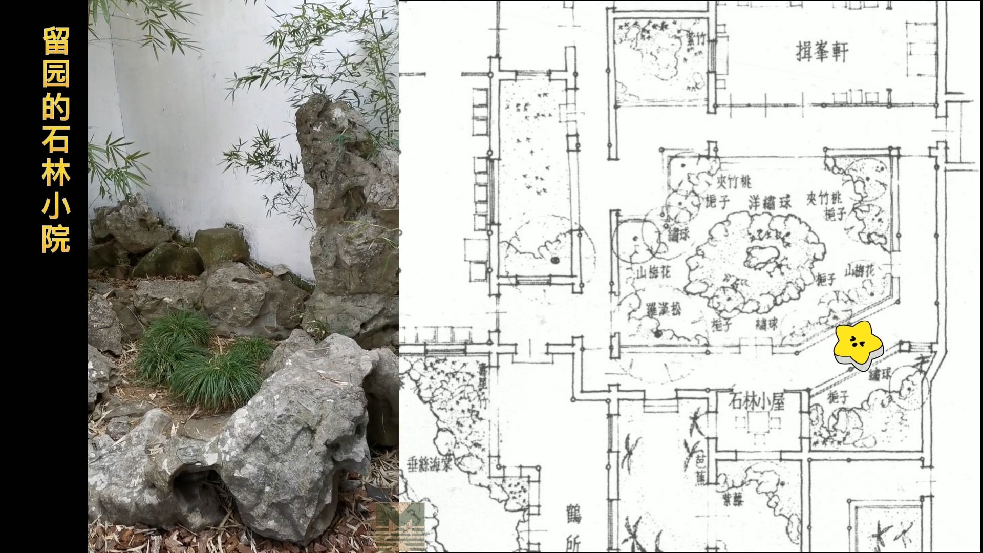 图解苏州园林和古建筑,留园的石林小院哔哩哔哩bilibili