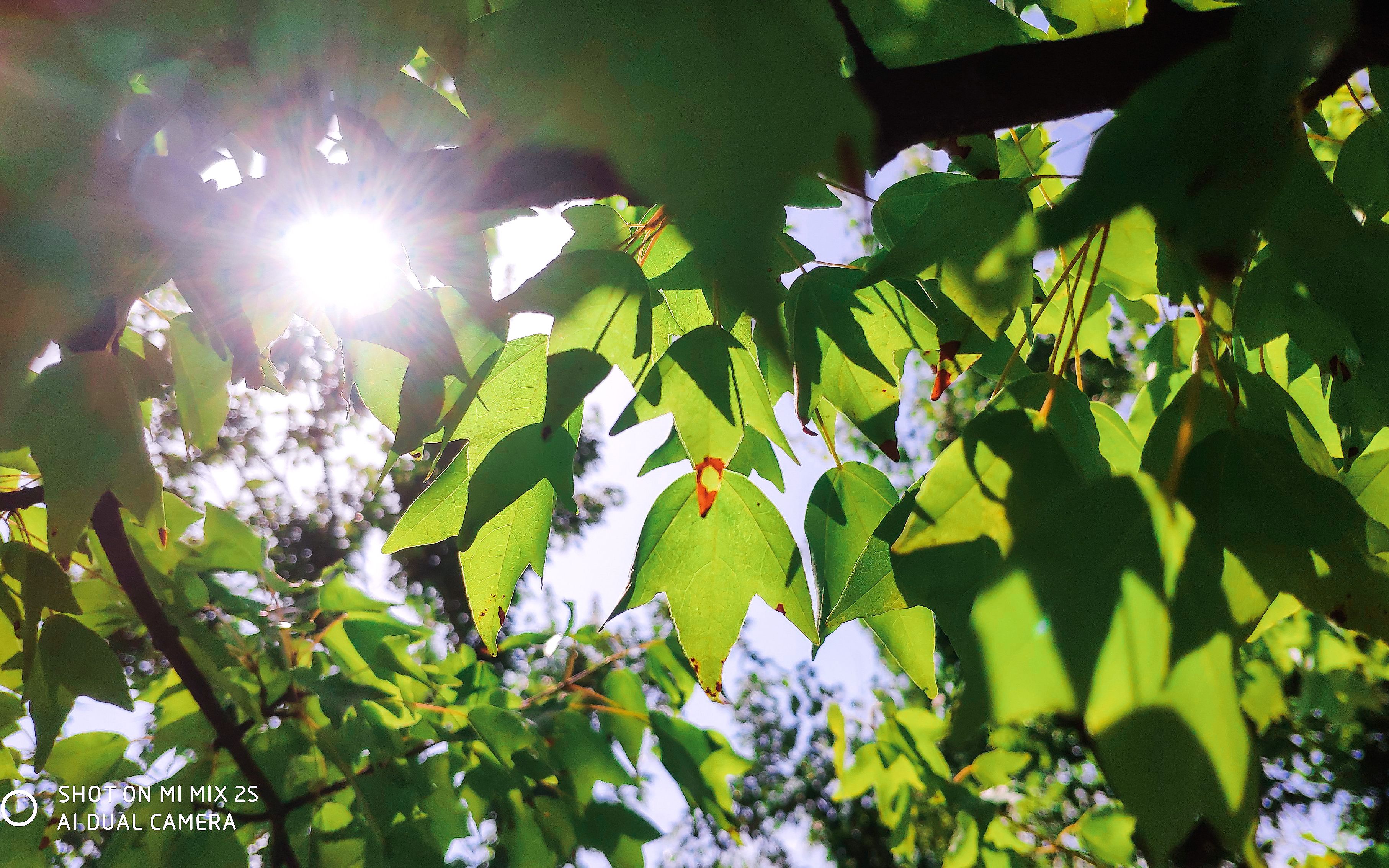 小米mix2s的240fps摄影是什么效果