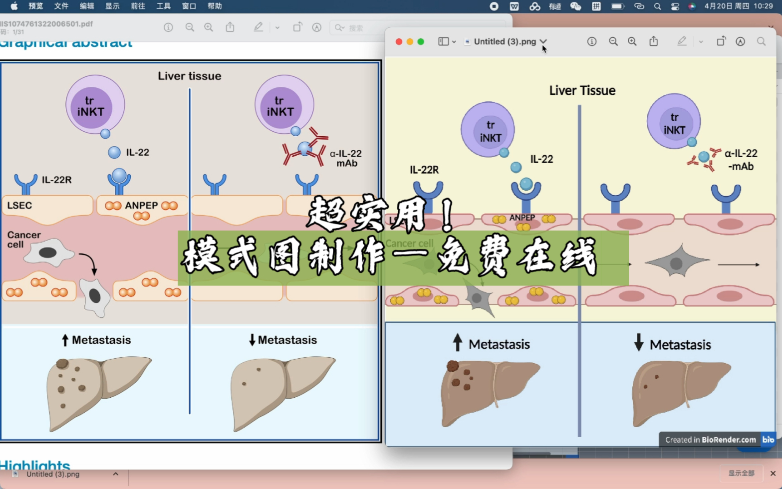 【科研神器】超实用!模式图制作—免费在线哔哩哔哩bilibili