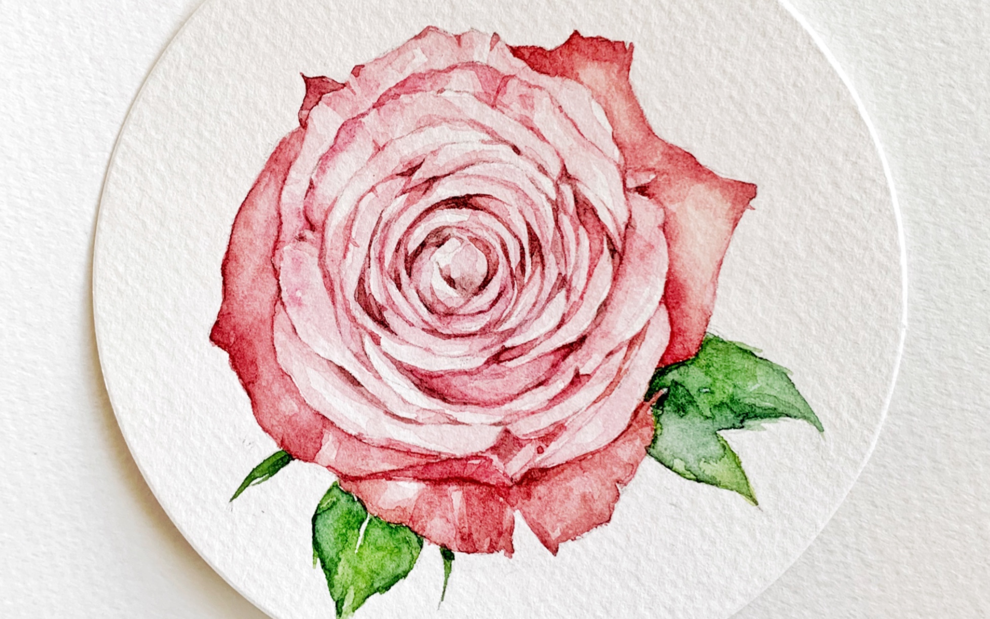 【水彩】圆形纸花卉绘画过程快放