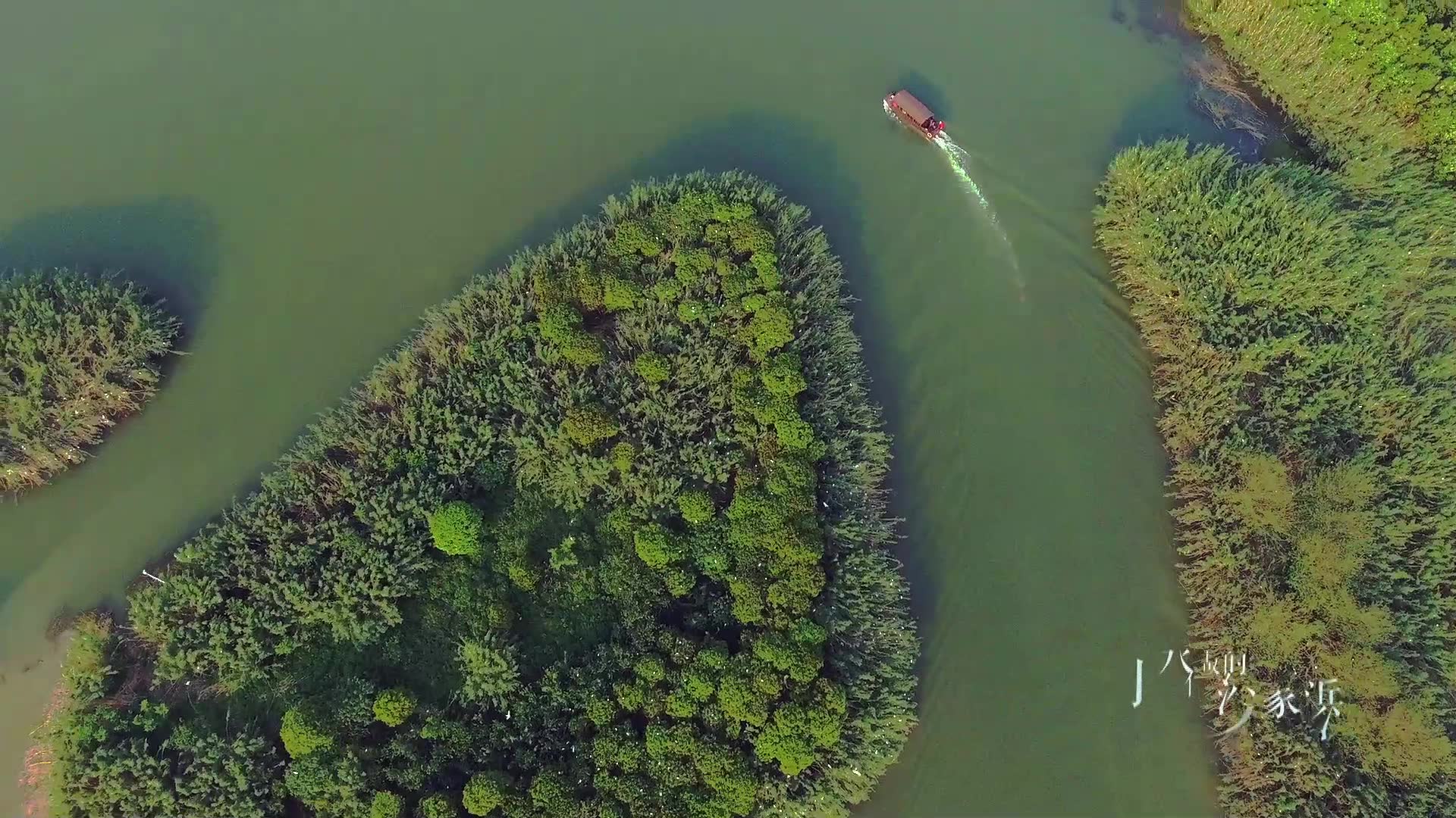 [图]水做的沙家浜（常熟沙家浜风景区）