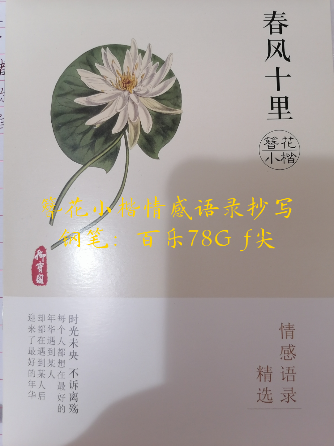 簪花小楷情感语录抄写百乐78G哔哩哔哩bilibili