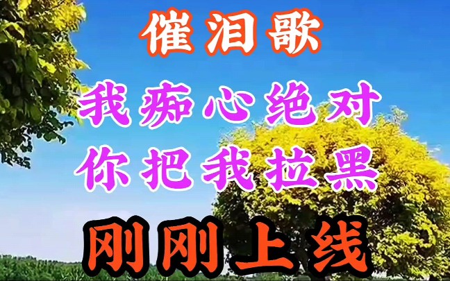 [图]刚刚上线催泪新歌抢先听《我痴心绝对你把我拉黑》演唱李英