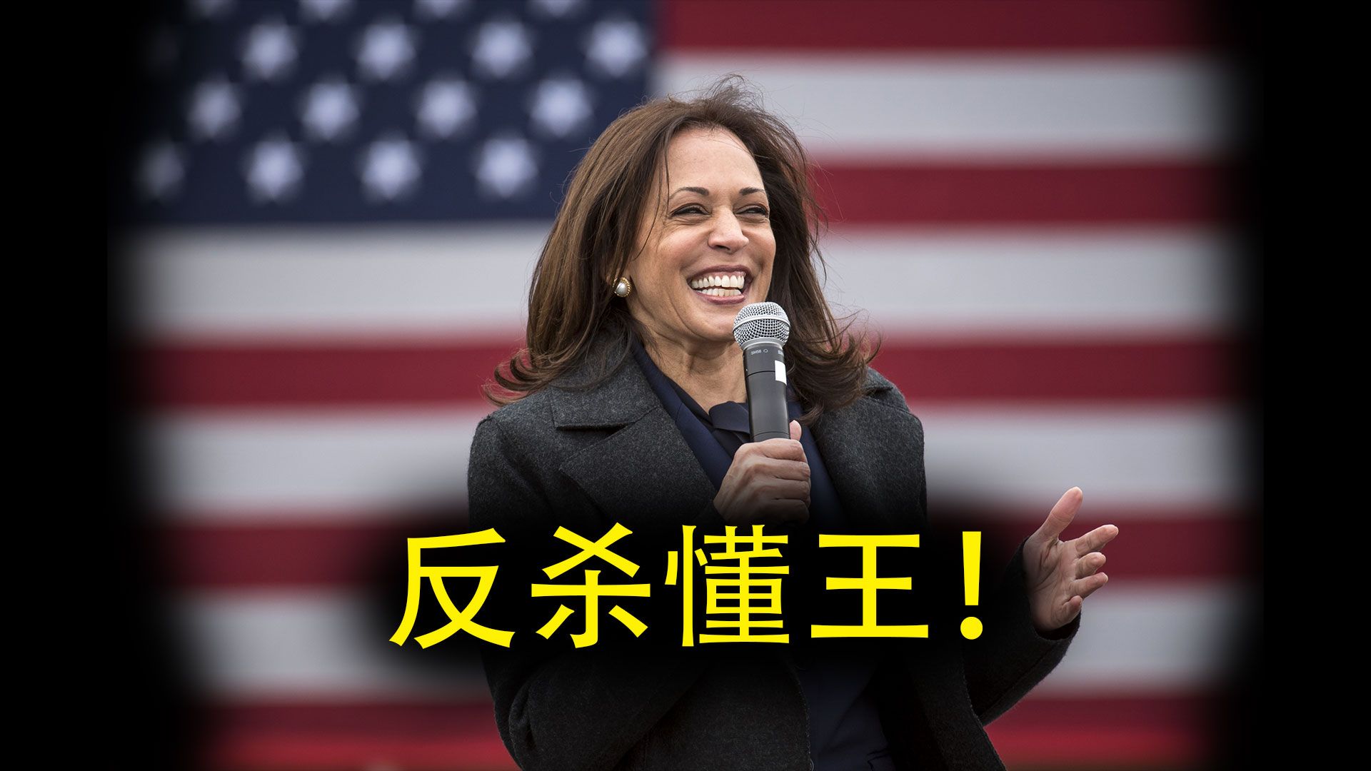 哈哈姐反杀懂王！美国伟大不起来了？-键政秃头侠-键政秃头侠-哔哩哔哩视频