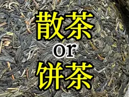 Download Video: 普洱茶买散茶还是饼茶？#普洱茶 #古树茶 #普洱茶原产地