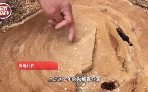 都市报道【郑州400年古柏树被盗！村民：当木材值10万 但树是全村精神寄托！】